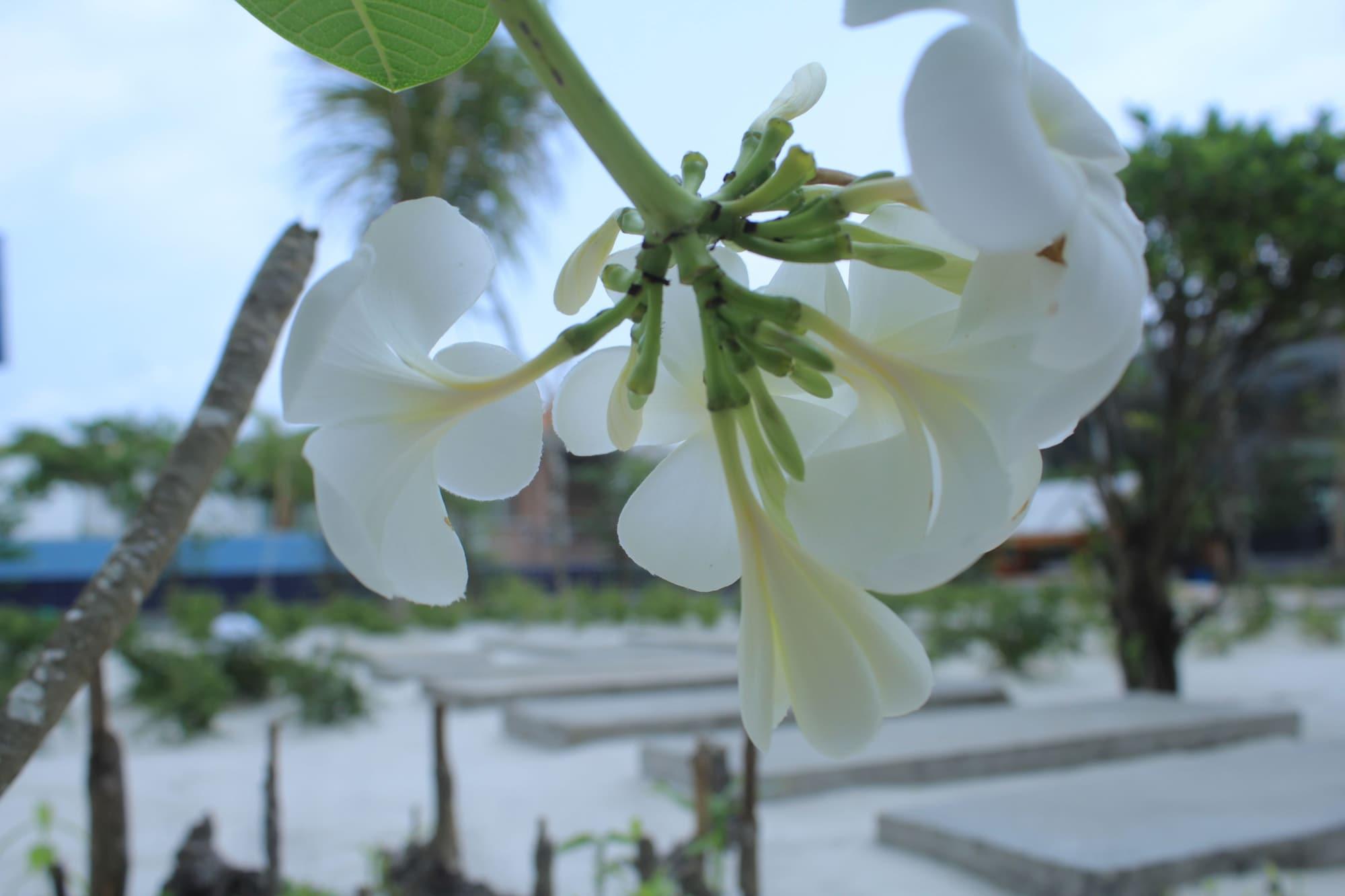 Kaoh Touch Long Set Resort מראה חיצוני תמונה